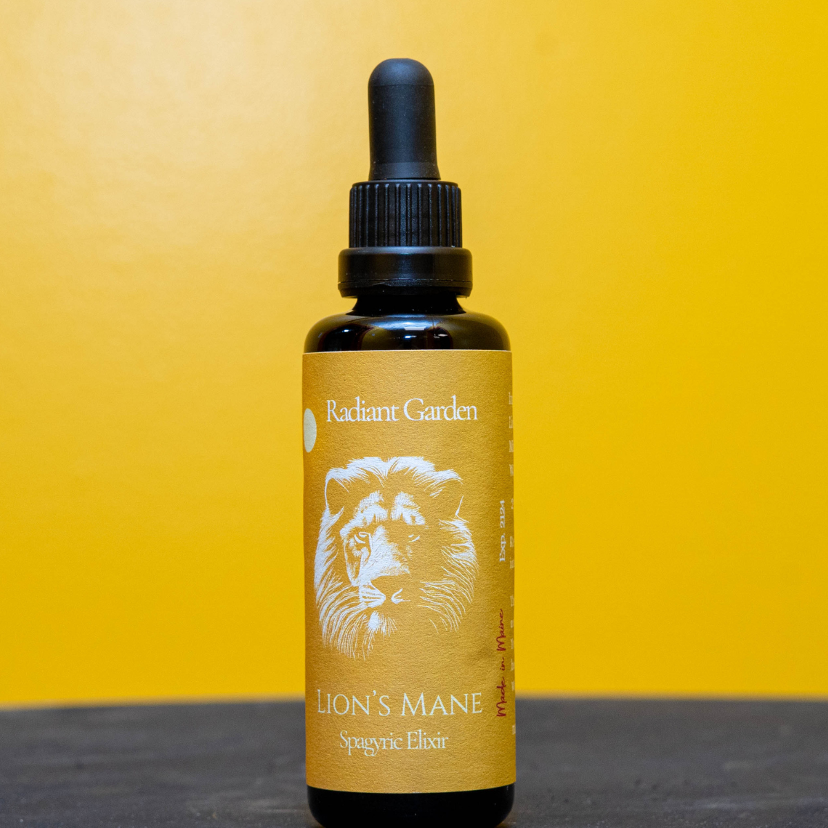 Lion's Mane Tincture
