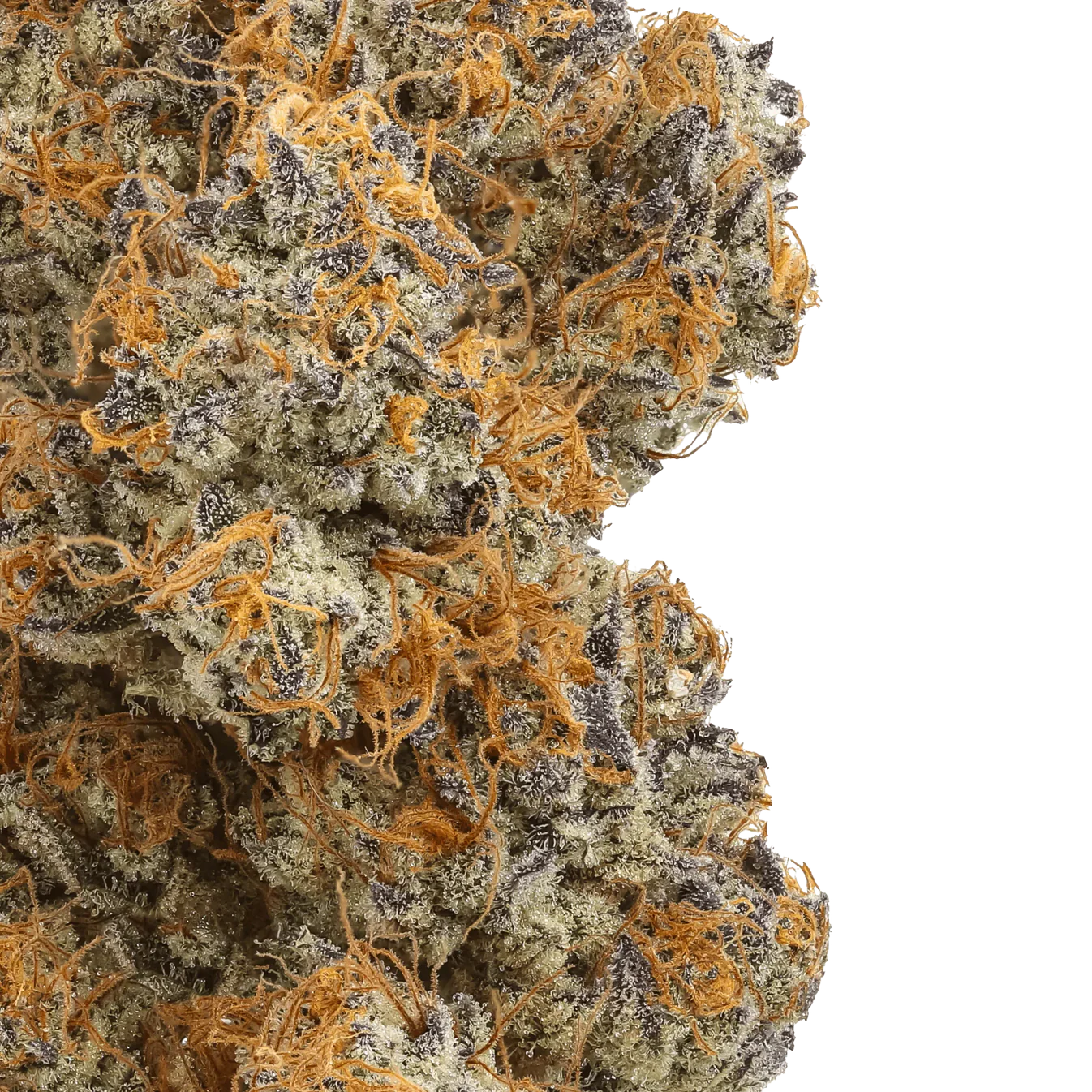 Payton's Strawberries Premium Hemp - Image 3