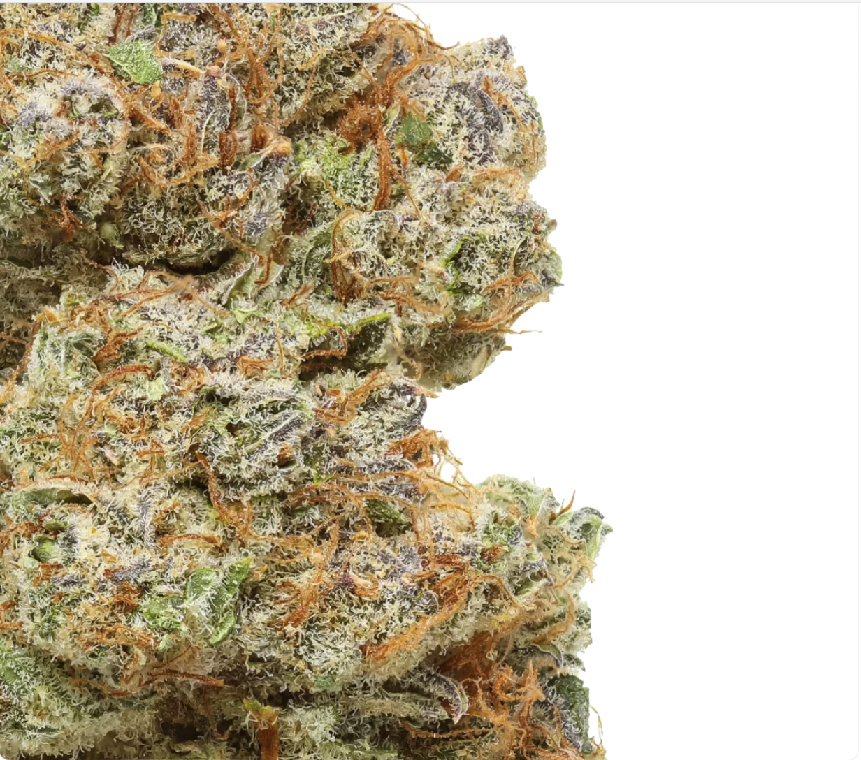Cakeberry Brûlée Premium Hemp - Image 3