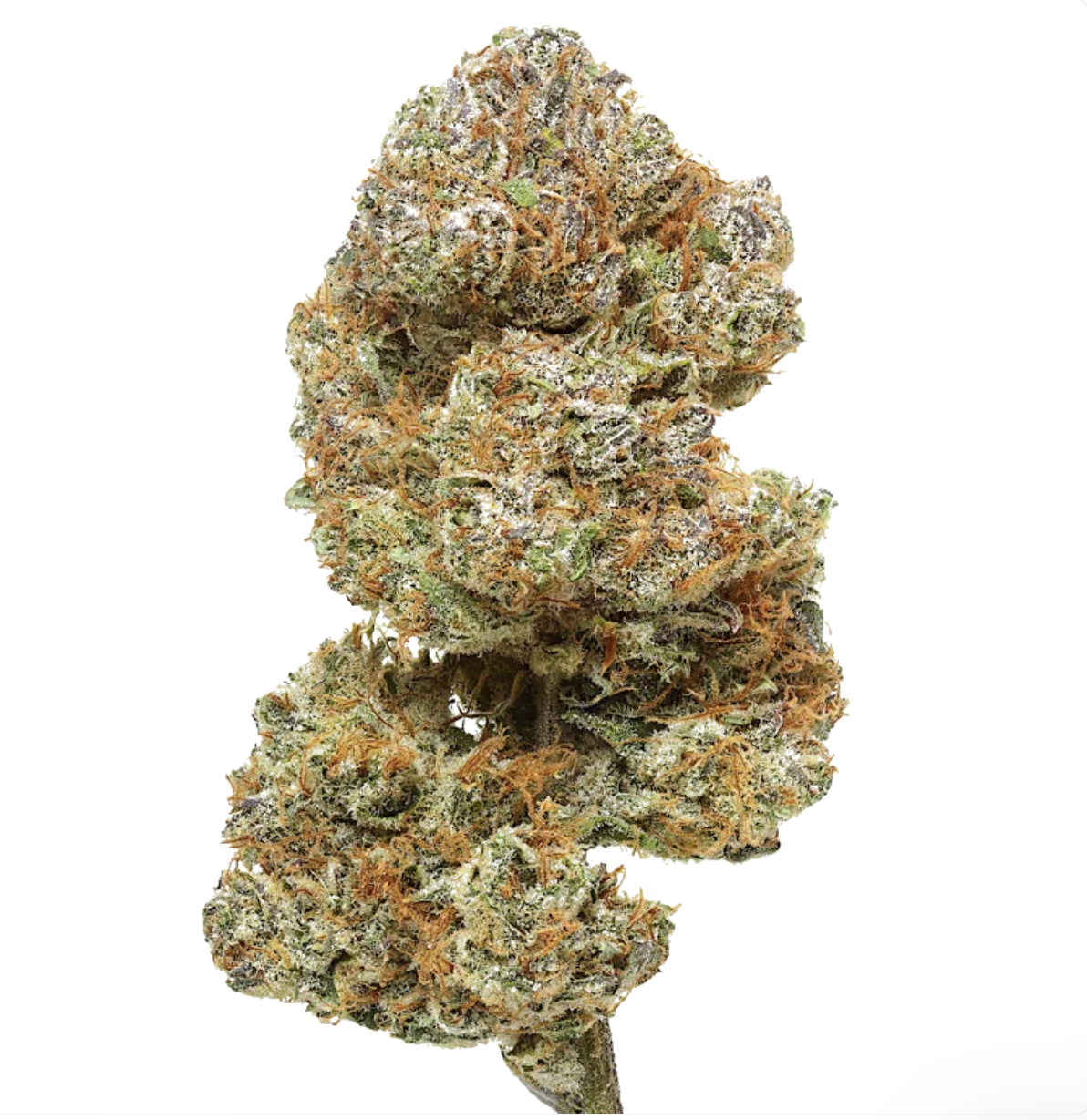 Cakeberry Brûlée CBD, Hemp Botanicals